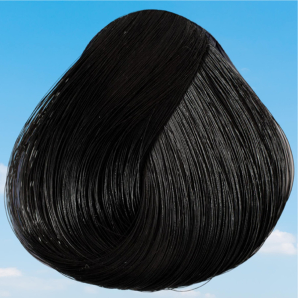 DIRECTIONS ebony 100 ml (4x) - Image 4