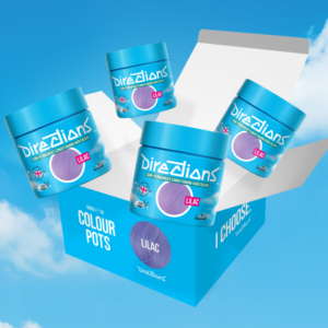 DIRECTIONS lilac 100 ml (4x)
