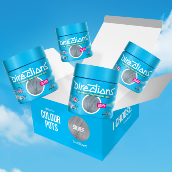 DIRECTIONS silver 100 ml (4x)