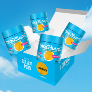 DIRECTIONS sunflower 100 ml (4x)