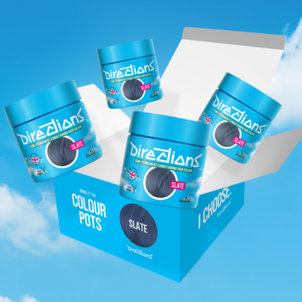 DIRECTIONS slate 100 ml (4x)
