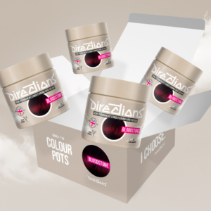 DIRECTIONS bloodstone 100 ml (4x)